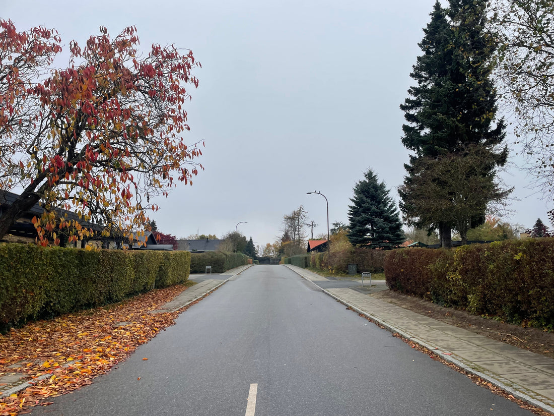 TEMA ‘Transformation’: Transformation i bedste sendetid