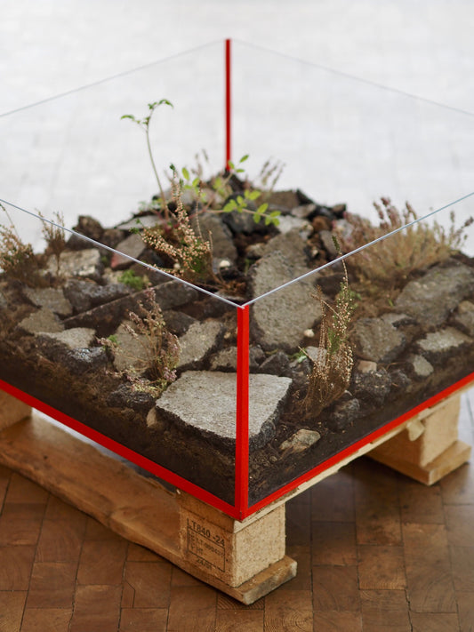 Projektet ‘Opbrud’ vinder arkitektkonkurrencen ‘Vilddyr søger bolig’