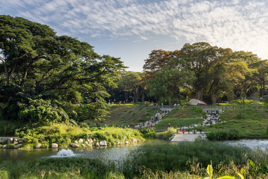 Nyhed: Henning Larsen vinder pris for Bidadari Park